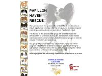 Papillon Haven Rescue - Rescued Papillons for immediate adoption