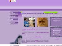 Salon de toilettage canin et félin à Divion (62), coupes et soins des animaux, Pas de Calais Salon de toilettage canin et félin à Divion (62), coupes et soins des animaux, Pas de Calais