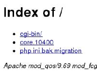 Index of / Index of /