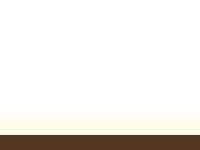 Paragon Coffee Paragon Coffee