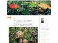 A Perfect Day A Perfect Day