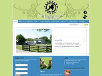 parklandkennel.com Services, American Kennel Club – AKC, Blue Bonnet Poodle Club