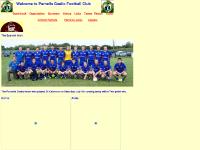 parnells.org Parnells Gaelic Football Club, london gaa, ladies gaelic football in london parnells.org Parnells Gaelic Football Club, london gaa, ladies gaelic football in london