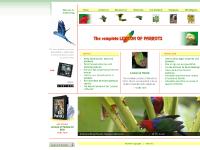 Lexicon of Parrots