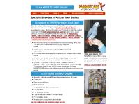 Specialist Breeders of African Grey Babies Specialist Breeders of African Grey Babies