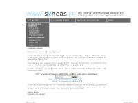 Bienvenue sur le site du Syneas !