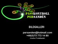 statistik för passkontroll - PASSKONTROLL- Per Sandén