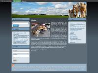 Pet sitting, house sitting, dog walking, dog obedience and training Gloucester