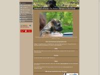 paxmariae.se Hem/Home, Om/About Pax Mariae, Tysk jaktterrier paxmariae.se Hem/Home, Om/About Pax Mariae, Tysk jaktterrier