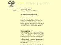 liten pazyryk.se skärmbild