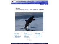 pelagic.org white shark, shark, sharks