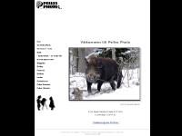 Bildgalleri, Bröllop, Fotofond, Skolfoto  Bildgalleri, Bröllop, Fotofond, Skolfoto