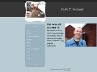 Pelle Strindlund - Intro Pelle Strindlund - Intro