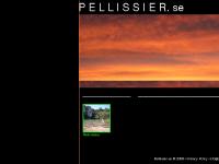 statistik för pellissier - Your Company Website