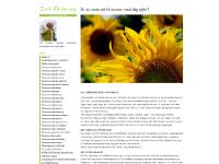 Försonas med barnet, Försonas med din kärlek, Försonas med din kropp, Försonas med din självbild Försonas med barnet, Försonas med din kärlek, Försonas med din kropp, Försonas med din självbild