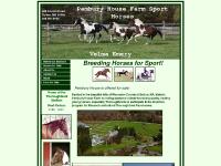 pemburyhousefarm.com sport horses for sale, OTTB and off track thoroughbreds, Mass Bred for racing pemburyhousefarm.com sport horses for sale, OTTB and off track thoroughbreds, Mass Bred for racing