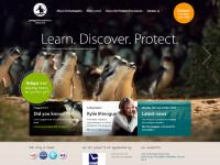 penguinfoundation.org.au little penguin, penguin foundation, adopt a penguin penguinfoundation.org.au little penguin, penguin foundation, adopt a penguin