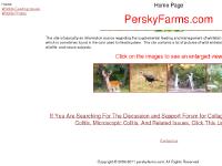 liten perskyfarms.com skärmbild liten perskyfarms.com skärmbild