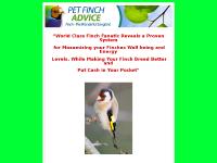 liten petfinchadvice.com skärmbild liten petfinchadvice.com skärmbild
