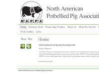 petpigs.com Home North American Potbellied Pig Association petpigs.com Home North American Potbellied Pig Association