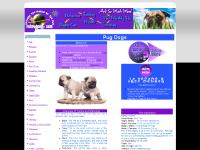 PetPugDog | Pug Dog Information Center