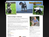 Petras Hunddagis - Vallentuna