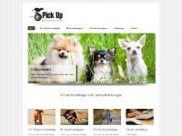 pickuphunddagis.se Startsida, Hunddagis, Hundkurser pickuphunddagis.se Startsida, Hunddagis, Hundkurser