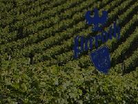 pieroth.com.au pieroth.com.au