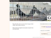 PigeonSportLive