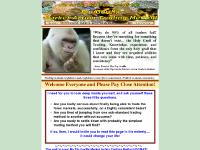 Pip Gorilla Market Action Trading Method