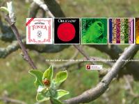 PIRASTRO Strings PIRASTRO Strings