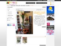 plaisirs-de-fleurs.com achat fleur, achat janze, bouquet