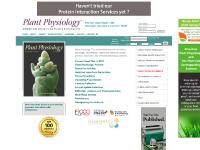 Plant Physiology