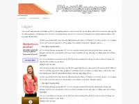 Plattläggare | Söker du efter en plattläggare? Vi hjälper dig. | Plattläggare