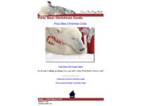 Polar Bear Christmas Cards, Holiday Cards, Funny Christmas Cards
