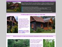 polishlogcabinholiday 