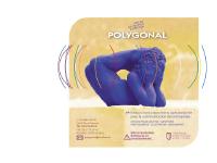 Polygonal_graphisme_operationnel Polygonal_graphisme_operationnel