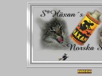 liten ponnyexpressen.se skärmbild