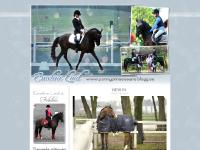 ponnyprinsessans.blogg.se Allmän, Trackbacks (), Utrustning