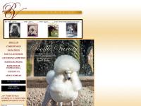 Poodle Variety Poodle Variety