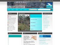  Listen, A to Z, Website Maintenance, Benefits and Advice