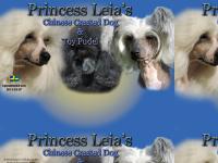 liten princessleias.se skärmbild