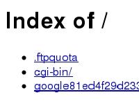 Index of / Index of /
