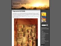 liten projectcurry.blogg.se skärmbild