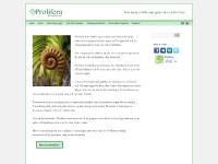 Prolifera | En oberoende ideell organisation med syfte att låta människor få intiativet till sitt eget val.