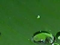 provertelagages provertelagages