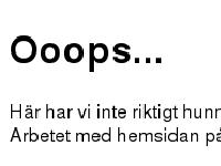 statistik för prydnadskudde - Arbete pågår statistik för prydnadskudde - Arbete pågår