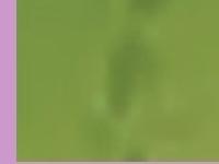 pura vida spa pura vida spa