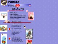 PURELY PUGS WELCOME PUREBRED PUG P PUPPIES FOR SALE NJ AKC PHOTOS PURELY PUGS WELCOME PUREBRED PUG P PUPPIES FOR SALE NJ AKC PHOTOS