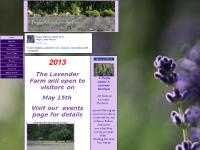 Purple Adobe Lavender Farm Purple Adobe Lavender Farm